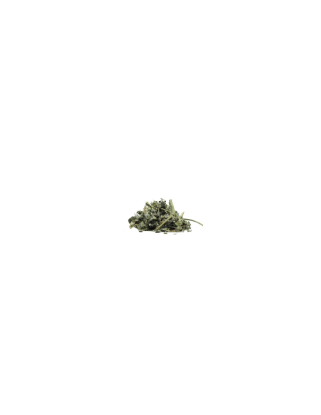 Pralesní máta 60 g