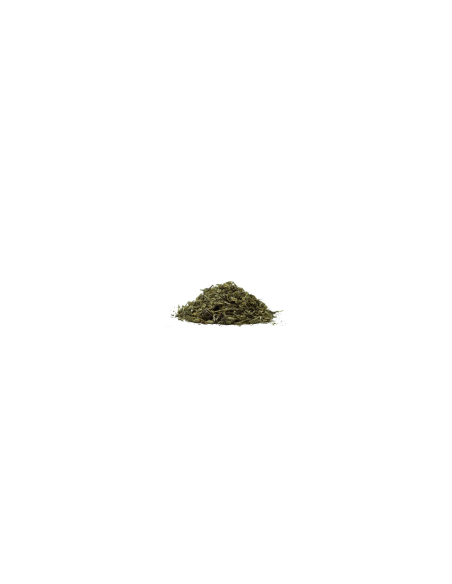 Peruanischer Liebstöckel - Sanguinaria 80 g