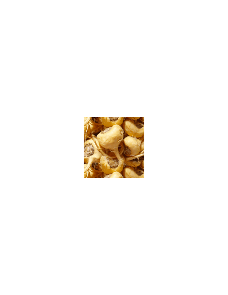 Maca bílá 500 g