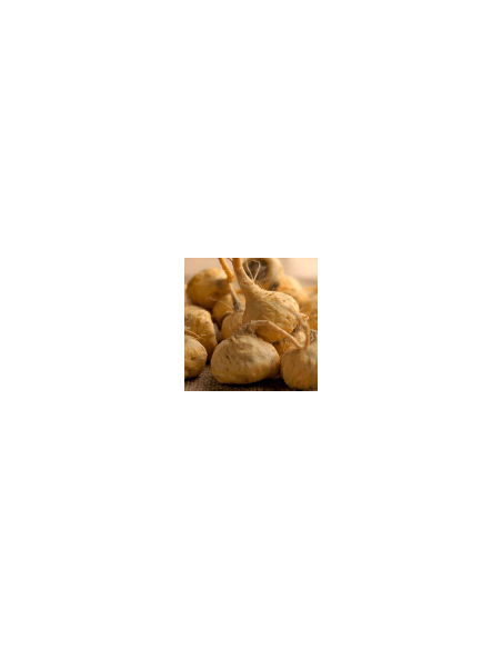 Maca bílá 500 g
