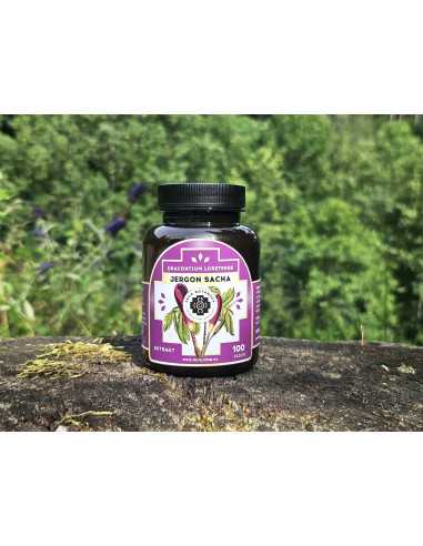 Jergon sacha - tablety 100 tablet