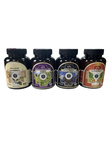 Bylinná kúra koncentrace, paměť, únava