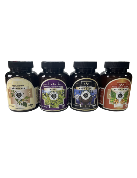 Bylinná kúra koncentrace, paměť, únava