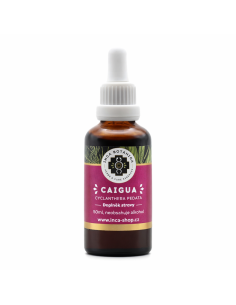 Caigua - Auszug 50 ml