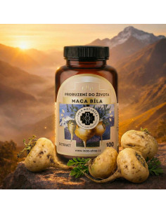 Maca bílá 100 tablet 2