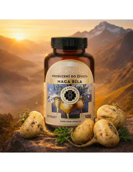 Maca bílá 100 tablet