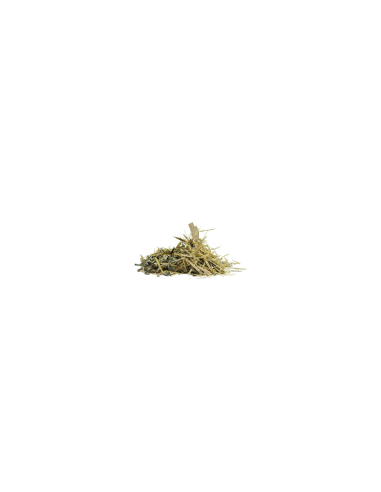 Rosa Blume 70 g